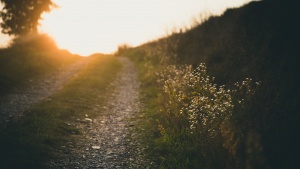 Um caminho rochoso com raios de sol ao final.