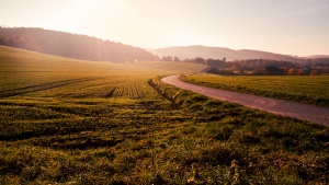 A winding country path.