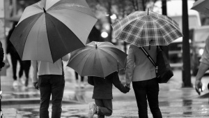 A family walking in the rain while holding umbrellas.