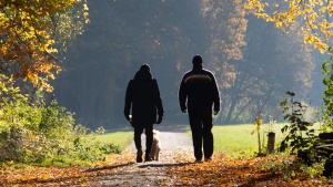 Two people walking on a path in the woods.