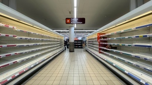 Empty grocery store shelves.