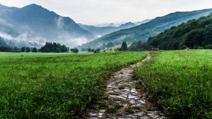 A path running through grassy fields toward a backdrop of rolling hills