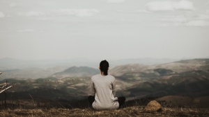 A woman sitting beside herself looking out over a vista.