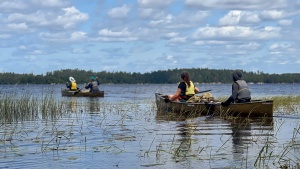 two canoes with two people in each traversing calm waters under a blue sky with fluffy white clouds