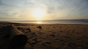 Sunset at a beach.