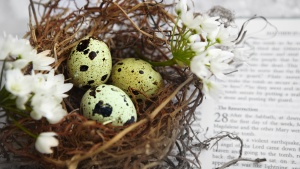 A nest of spotted Easter eggs on top of an open Bible.