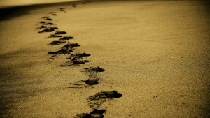 Footprints in sand.