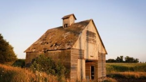 Forward: Barn Building