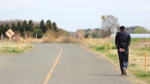 A person walking on a road.