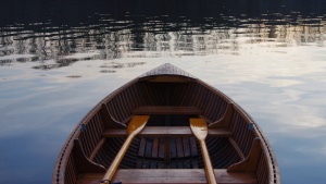 An empty wooden boat with two wooden oars.