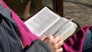 A person reading the Bible.