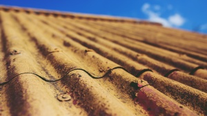 Old metal roof