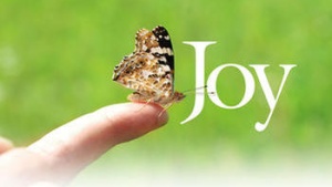 Joy in a Butterfly!