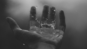 A hand in the water.