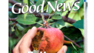 November/December issue of the Good News