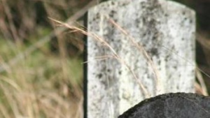 grave stones in field