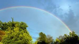 Searching for Rainbows after the Storm