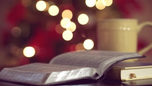 An opened Bible in the foreground and a Christmas tree lit up in the background.