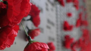 poppies on a war memorial