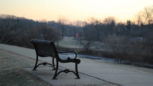 Empty park bench