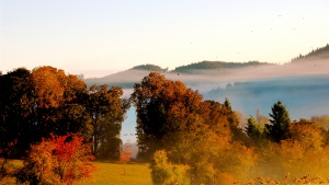 Eugene in the fall