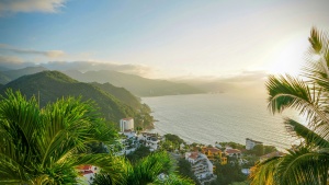 leafy trees in the foreground above a beach and housetop view below