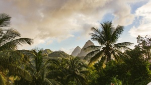 green palms under a cloudy sky with mountains in the distance