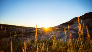 Drumheller, Alberta