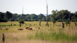 Mufulira, Zambia