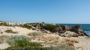 a sandy beach with low green shrubs next to the ocean under a blue sky