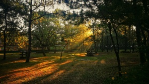 Baguio City, Philippines