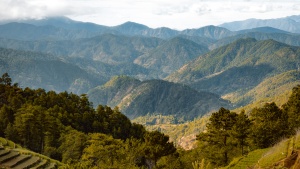 a scenic view of a green mountain range with trees in the foreground