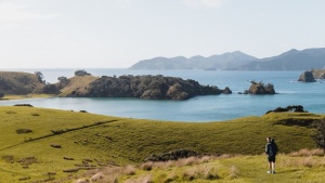 Bay of Islands, Paihia, New Zealand