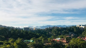 Green trees with a city in the background and buildings scattered across the landscape