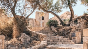 A scene with stone stairs leading to a historic building amidst trees