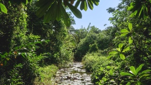 Habarana Village, Sri Lanka