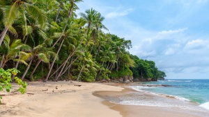 Stonehaven Bay, Tobago