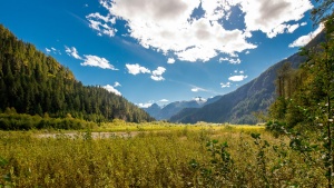 green trees and mountains under blue sky during daytime