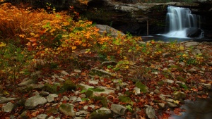 Feast of Tabernacles - Snowshoe West Virginia