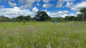 Kadoma, Zimbabwe