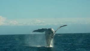 Victoria, British Columbia, Canada