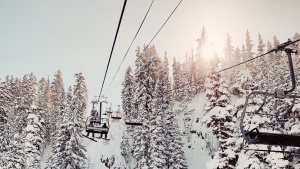 ski lifts against a snowy tree-filled landscape