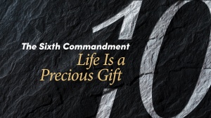 This is the title graphic of the Ten Commandments Bible study titled &quot;Life is a Precioius Gift.&quot;