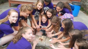 A girls&#039; dorm started their own fire as part of the Amazing race activity at Camp Pinecrest. 