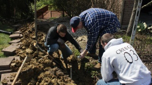 On Sunday afternoon young adults served at various members' homes as part of a service project.