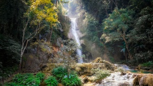 a waterfall tumbling over a cliff through an opening in the trees