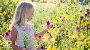 a little girl wearing a dress and standing in a field of pink wildflowers, a bunch of white flowers clasped in one hand