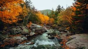 water flowing over rocks with autumn trees on either side and a mountain in the distance