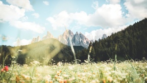Photo of meadow with mountains in background.
