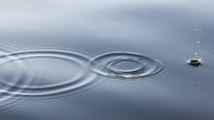 Photo of water with ripples.